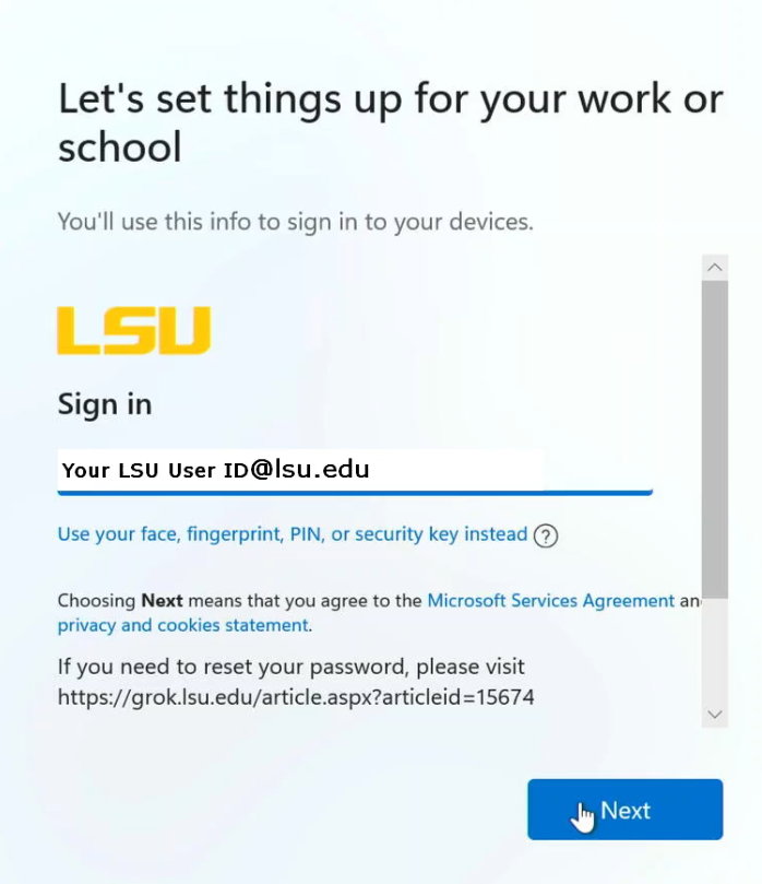 entering mylsu credentials